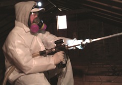 Environmentally Friendly Mold Remediation